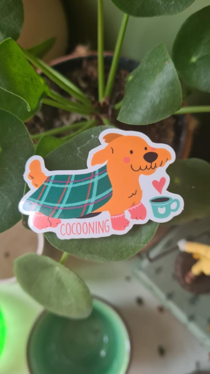 Sticker Teckel Cocooning